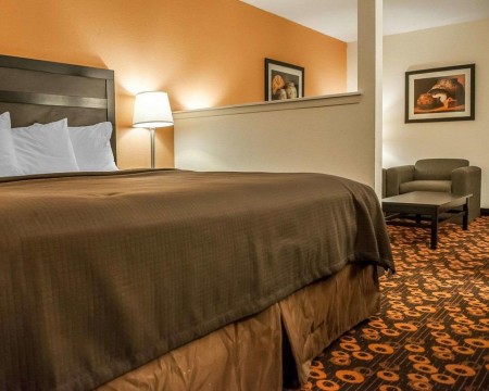 1 KING BED – 1 ROOM SUITE